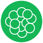 Icon-5-6155f12394c56