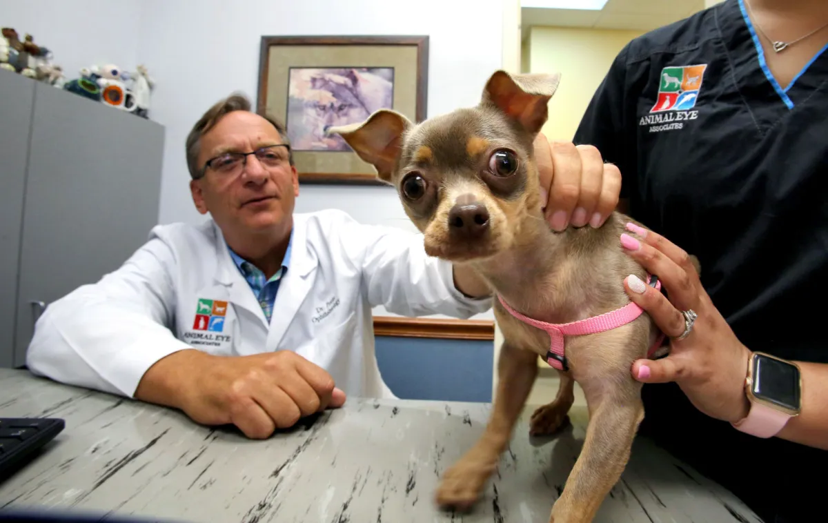 SI4NXR2UFBEUDFVZLAQKP7FPL4